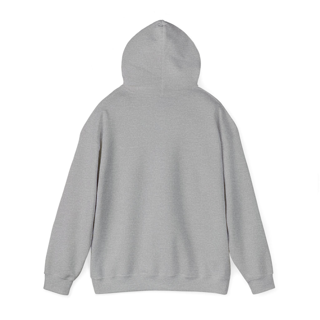 Unisex Heavy Blend™ Hooded Sweatshirt - NGOWE STORE
